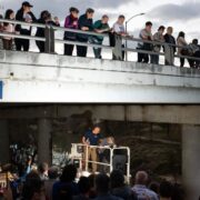 Texans came together to save more than 1,500 bats from wintery doom