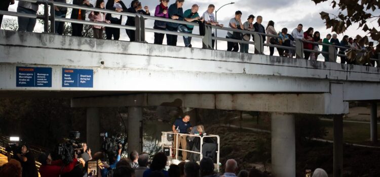 Texans came together to save more than 1,500 bats from wintery doom