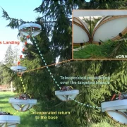 Researchers created a sticky drone to collect environmental DNA from forest canopies